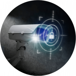 intelligence-privata-trieste-300x300